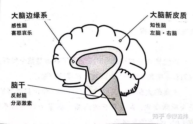 认知心理学的设计,认知心理学在设计中的应用