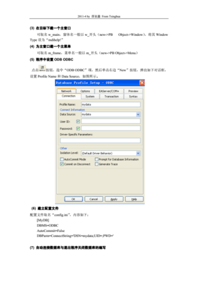 powerbuilder程序设计,powerbuilder10教程