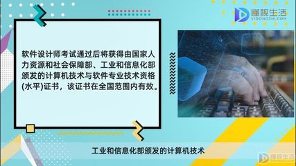 包含设计师资格证挂靠的词条