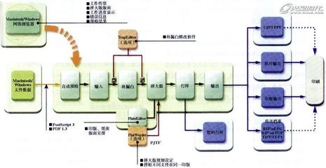 信息系统输出设计,信息系统的输入处理和输出