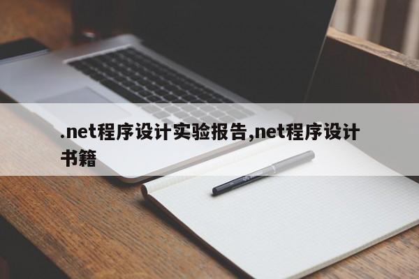 .net程序设计实验报告,net程序设计书籍